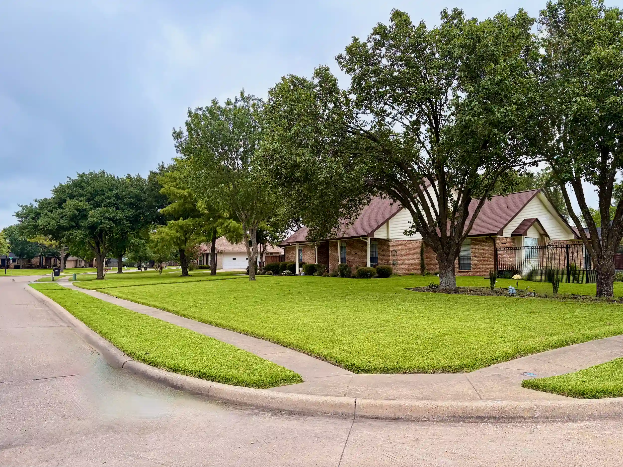 Trusted Lawn Care Service in Crandall TX grass